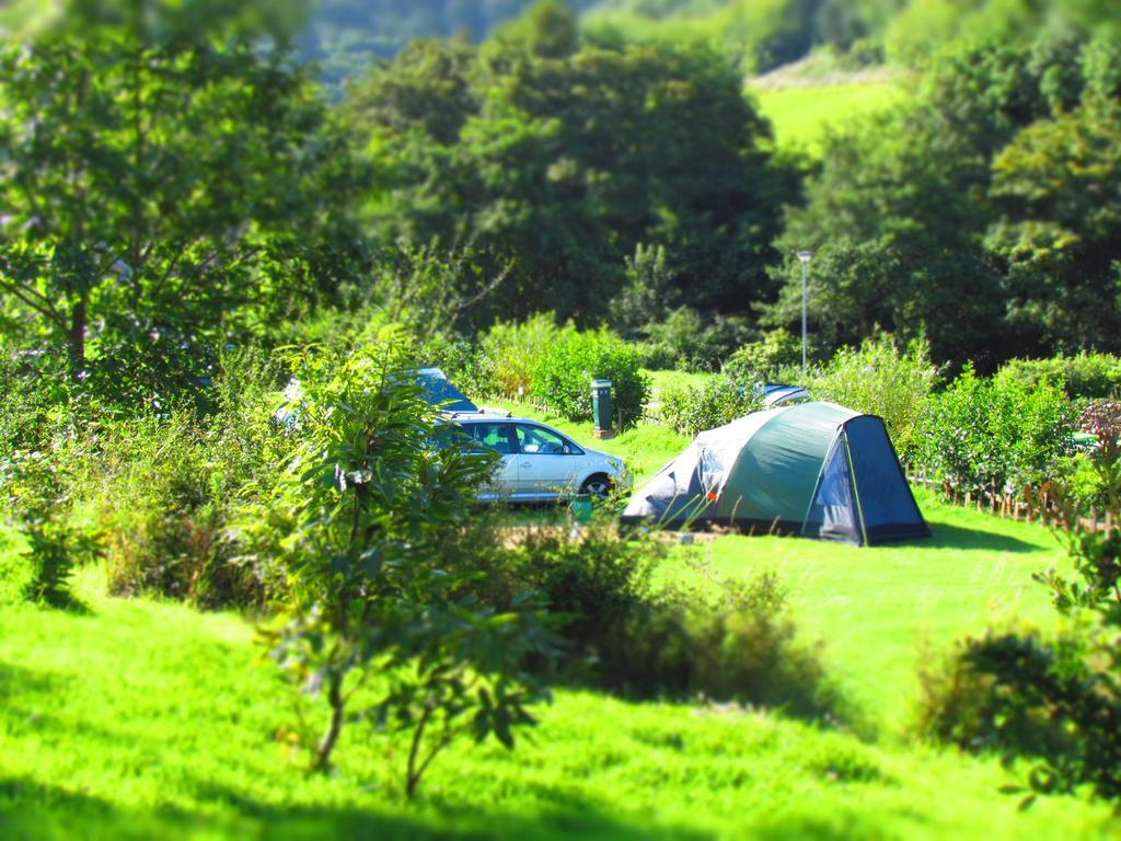 Hele Valley Holiday Park Ilfracombe Bagian luar foto